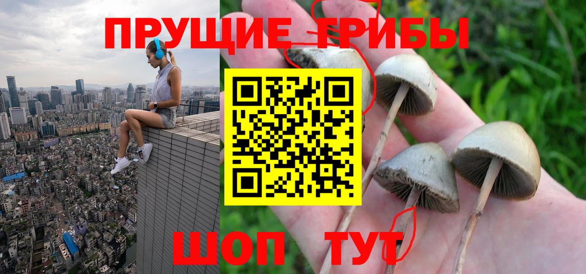 Галлюциногенные грибы Cubensis  Вход с VPN  Самара 